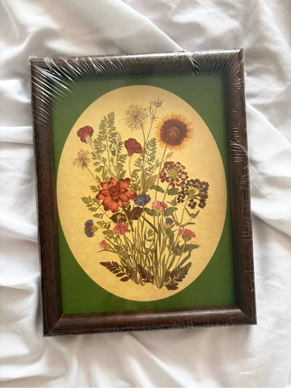 Vintage wildflower art illustration print framed home decor wall hanging new